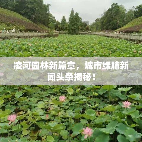 凌河园林新篇章,城市绿肺新闻头条揭秘!
