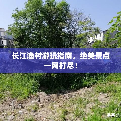 量入为出 第3页