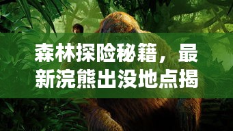 森林探险秘籍,最新浣熊出没地点揭秘