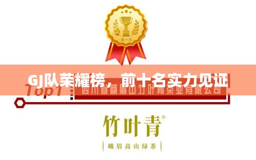 GJ队荣耀榜,前十名实力见证