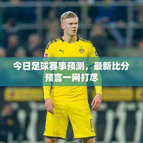 今日足球赛事预测,最新比分预言一网打尽