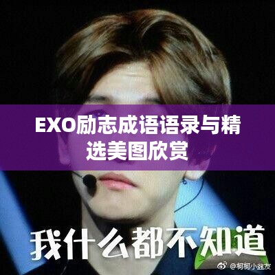 EXO励志成语语录与精选美图欣赏