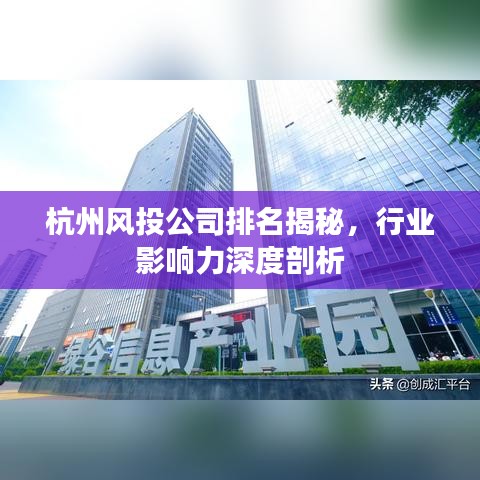 杭州风投公司排名揭秘,行业影响力深度剖析