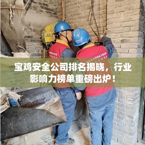 宝鸡安全公司排名揭晓,行业影响力榜单重磅出炉!