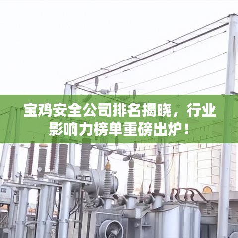 宝鸡安全公司排名揭晓,行业影响力榜单重磅出炉!
