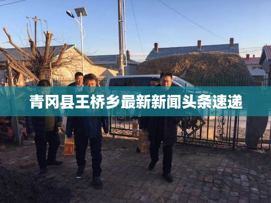 青冈县王桥乡最新新闻头条速递
