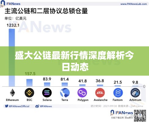 盛大公链最新行情深度解析今日动态