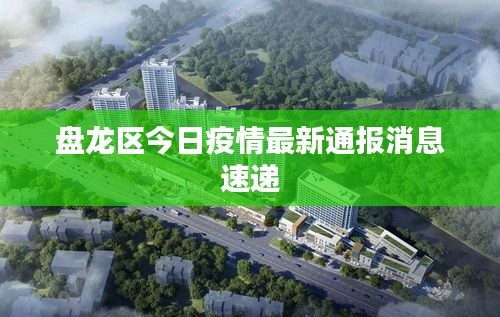 盘龙区今日疫情最新通报消息速递