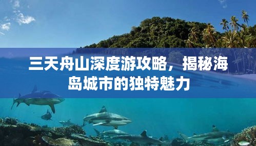三天舟山深度游攻略,揭秘海岛城市的独特魅力