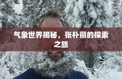 气象世界揭秘,张朴丽的探索之旅