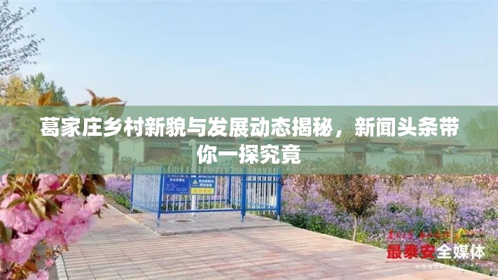 葛家庄乡村新貌与发展动态揭秘,新闻头条带你一探究竟