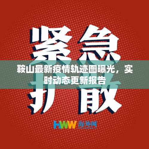 鞍山最新疫情轨迹图曝光,实时动态更新报告