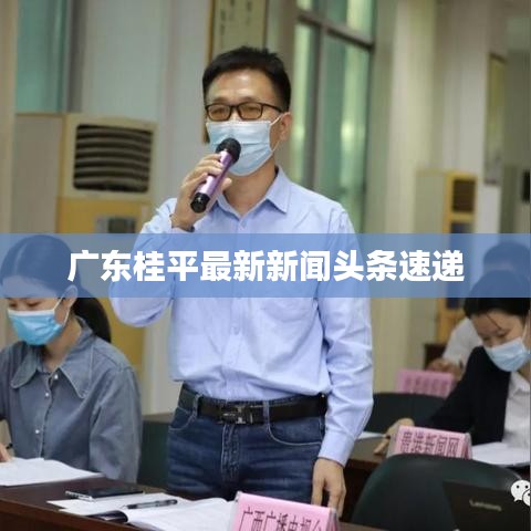 广东桂平最新新闻头条速递