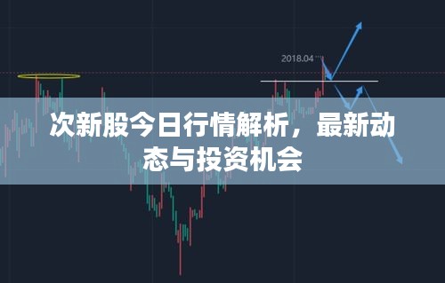次新股今日行情解析,最新动态与投资机会