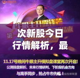 次新股今日行情解析,最新动态与投资机会