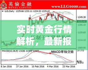 实时黄金行情解析,最新报价、市场走势与投资洞察