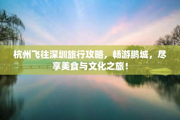 杭州飞往深圳旅行攻略,畅游鹏城,尽享美食与文化之旅!