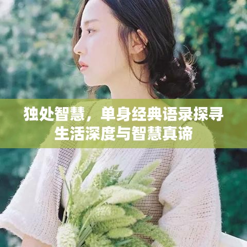 独处智慧,单身经典语录探寻生活深度与智慧真谛