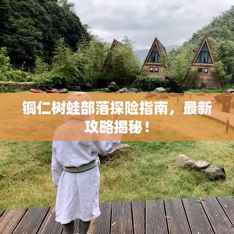 铜仁树蛙部落探险指南,最新攻略揭秘!