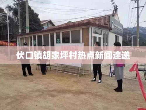 伏口镇胡家坪村热点新闻速递