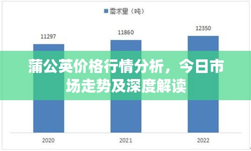 蒲公英价格行情分析,今日市场走势及深度解读