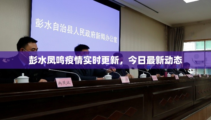 彭水凤鸣疫情实时更新,今日最新动态