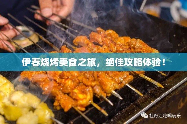 伊春烧烤美食之旅,绝佳攻略体验!