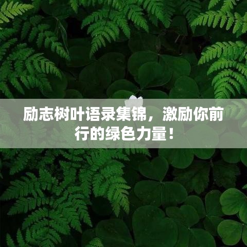 乌鸟之情 第3页