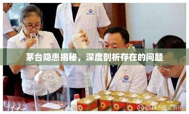 茅台隐患揭秘,深度剖析存在的问题
