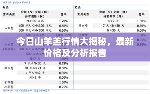 今日山羊羔行情大揭秘,最新价格及分析报告