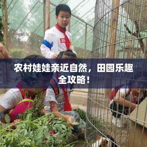 农村娃娃亲近自然,田园乐趣全攻略!