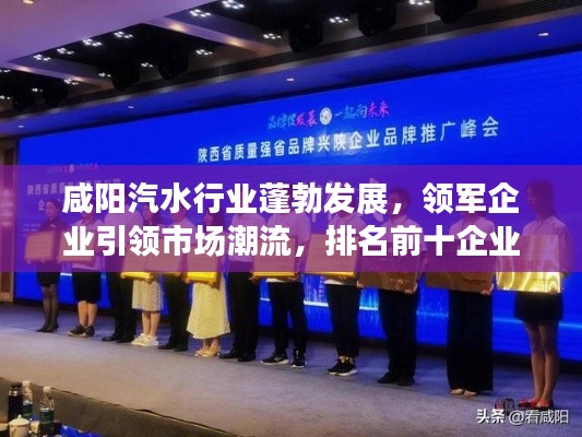 咸阳汽水行业蓬勃发展,领军企业引领市场潮流,排名前十企业大放异彩