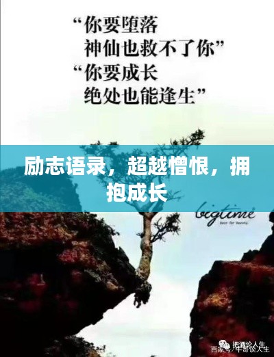 励志语录,超越憎恨,拥抱成长