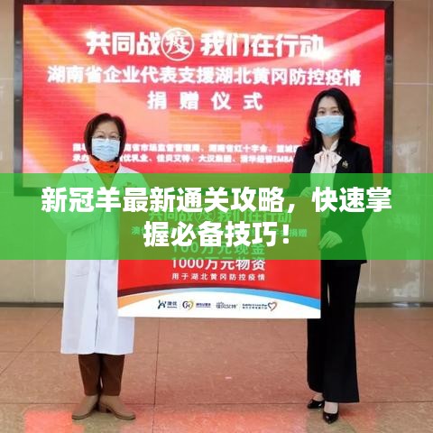 新冠羊最新通关攻略,快速掌握必备技巧!