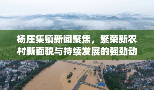 杨庄集镇新闻聚焦,繁荣新农村新面貌与持续发展的强劲动力