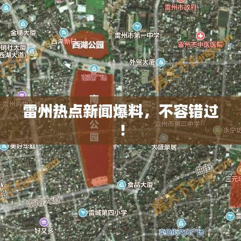 雷州热点新闻爆料,不容错过!