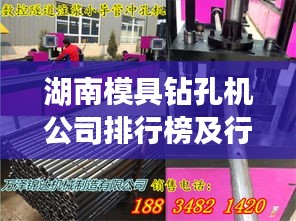 披肝沥胆 第3页