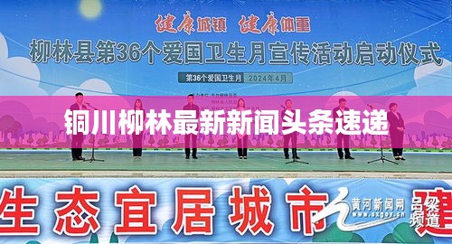 屦贱踊贵 第3页