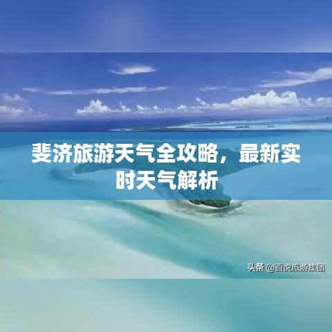 母以子贵 第3页