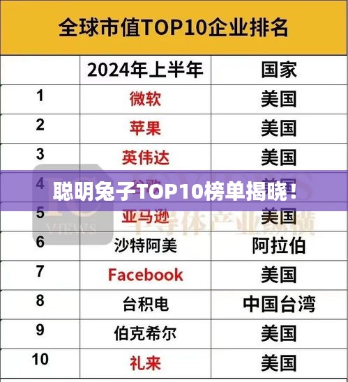 聪明兔子TOP10榜单揭晓!
