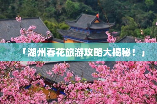 「湖州春花旅游攻略大揭秘!」
